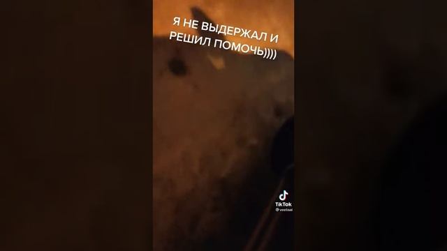 история про то как женщина перепутала свою машину смотреть онлайн
