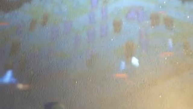 Protector The Closest game EVER смотреть онлайн