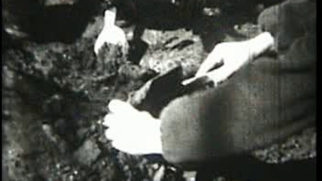 Первый раз - в первый класс. 1970, 15 сентября, торжественная линейка СШ 46 смотреть онлайн