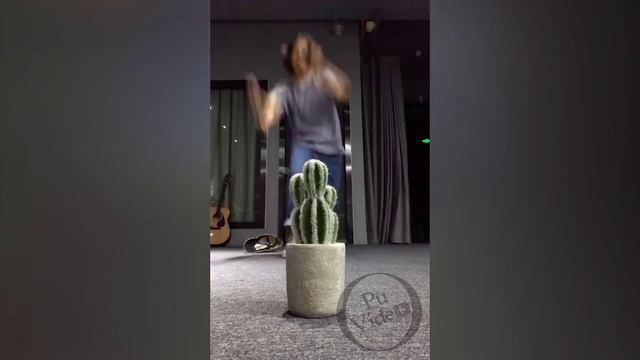 LIKE A BOSS COMPILATION #102 - Amazing Video 10 Minutes 2019 смотреть онлайн