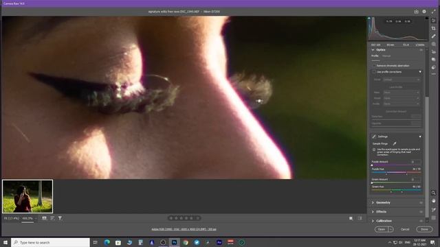 Adobe Camera Raw Tutorial смотреть онлайн