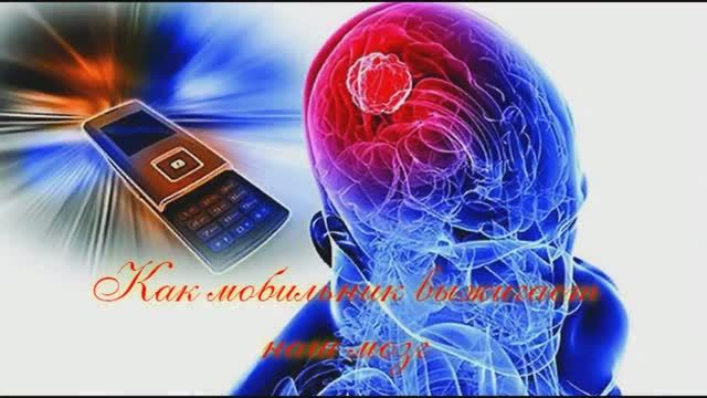 Как мобильник выжигает наш мозг: реальный эксперимент смотреть онлайн