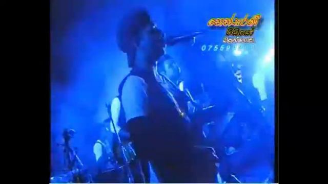 online ragama pit bull [western song] by THARU ONLINE смотреть онлайн