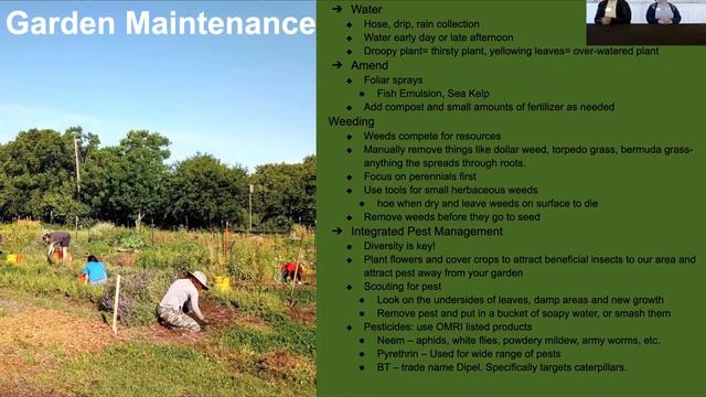 Budding Gardeners: Winter Veggies смотреть онлайн