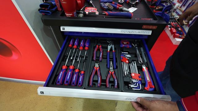 Митекс 2023 GreatStar