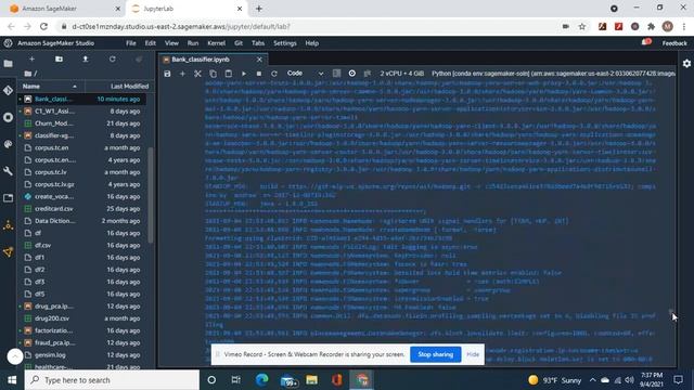 Deploy an Sagemaker linear learner classifier with hyperparameter tuning, default model monitor, et смотреть онлайн