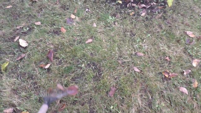 Петрушка в ноябре / Убираю листья на даче смотреть онлайн