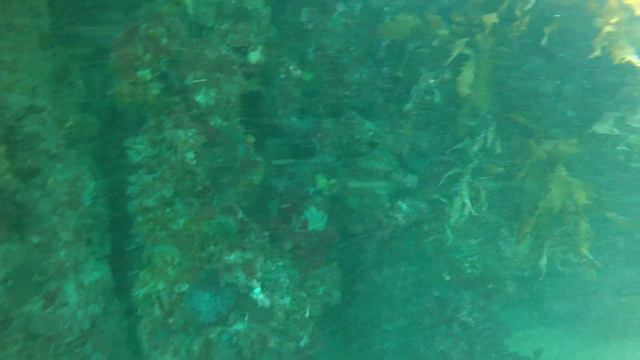 Carnac Island- 28/12/21 Cray hunting смотреть онлайн