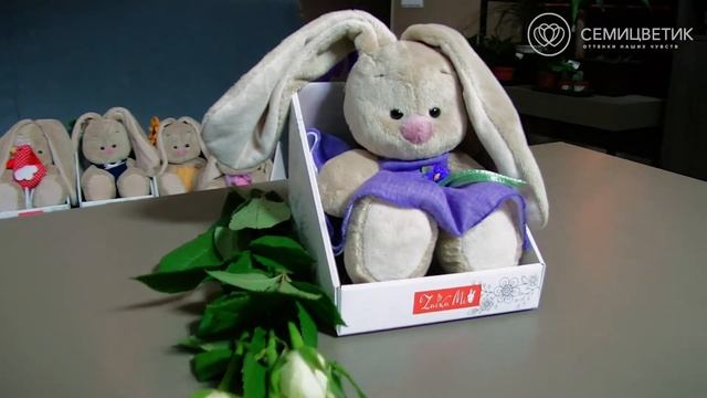Зайка Ми в фиолетовом платье с цветочком малыш 15 см смотреть онлайн