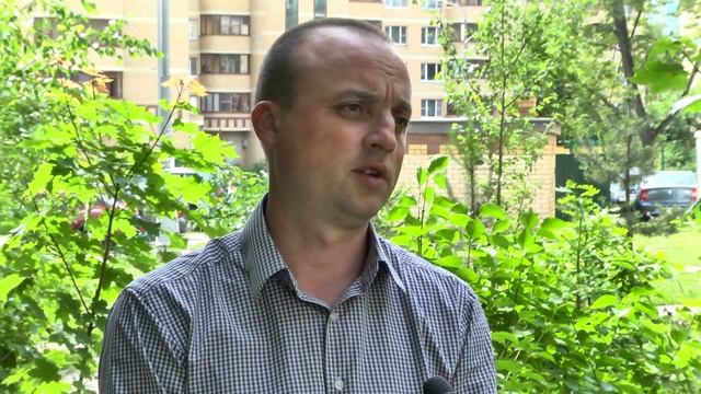 150706 Санитарная вырубка и обрезка деревьев смотреть онлайн