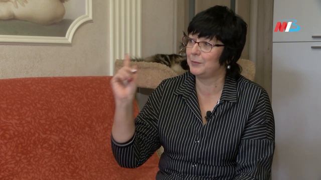 Символы 2023 года: почему нельзя шуметь рядом с кроликами и как живут самые большие домашние кошки?