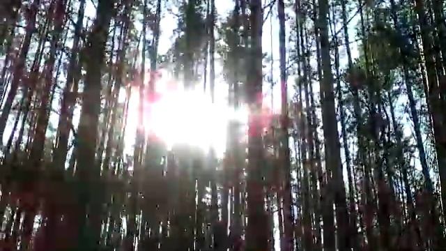 Царство Снежной Королевы смотреть онлайн