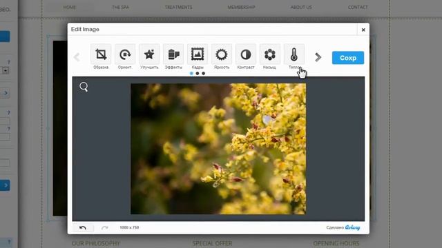Конструктор сайтов Wix | Добавление и редактирование фото на сайте Wix