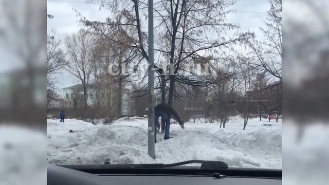 Настойчивые «кладоискатели» в Новокузнецке смотреть онлайн