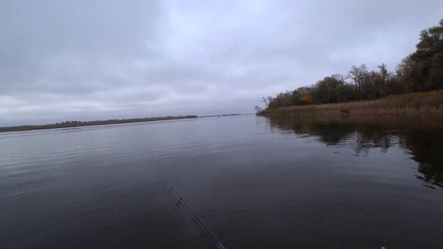 Ловля СУДАКА в ОТВЕС  на БАЛАНСИР Щука ВЫХОДИТ на поппер