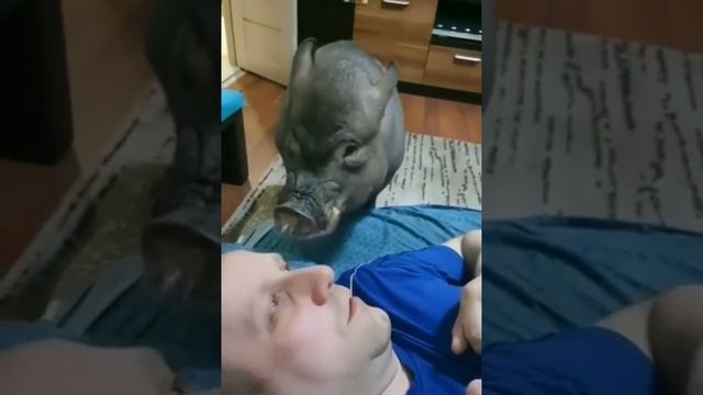 кушать пора смотреть онлайн