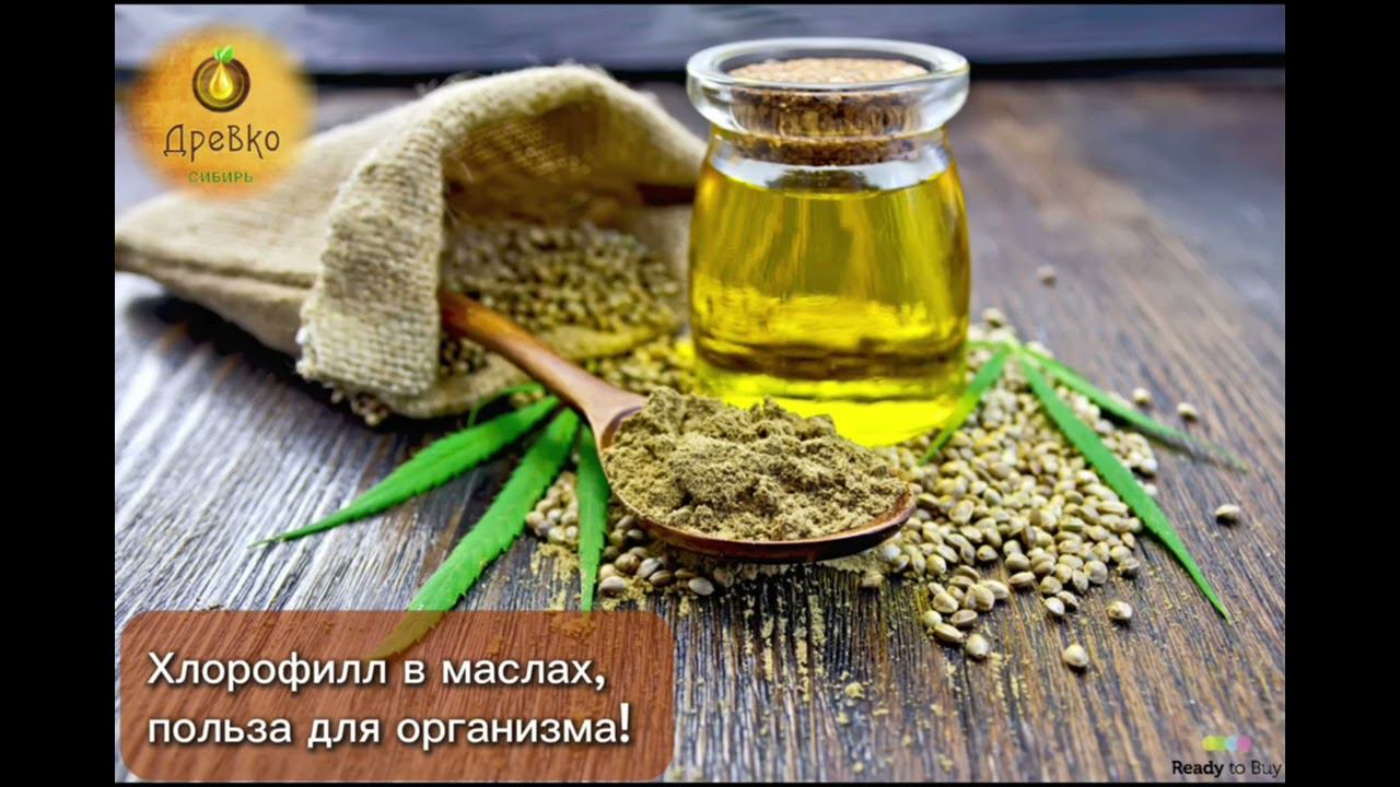 Хлорофилл в маслах польза для организма, магазин Древко на RTB смотреть онлайн