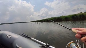 ЧАТТЕРБЕЙТ! Что за приманка, кого ловит. Рубрика, поймать на необычную приманку.