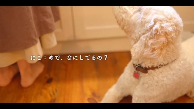 心を癒すミツバチとの暮らし/紅茶はちみつケーキ/半自給自足のスローライフ?Slow Living With Bees To Heal Mind And Body /vegetable Garden