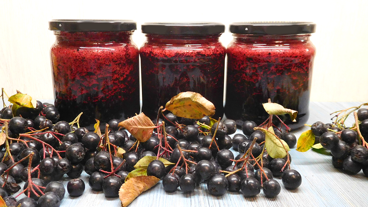 Черноплодная рябина перетертая с сахаром ⚫ Заготовка черноплодки смотреть онлайн
