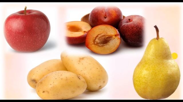 Ткани растений | ЕГЭ Биология смотреть онлайн