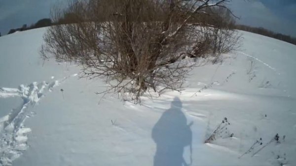 ОХОТА НА ЗАЙЦА. ЗАПРЕЩЕННЫЙ ПРИЕМ, косой закопался!!! #Barsukov