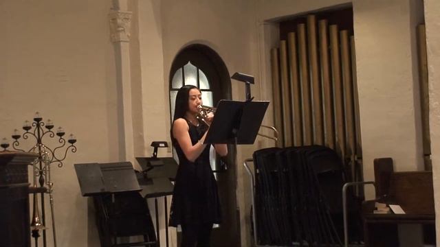 2017 1/21 Erica Trombone смотреть онлайн