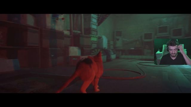 МЫ КОШКА В МИРЕ КИБЕР ПАНКА! #1 STRAY смотреть онлайн
