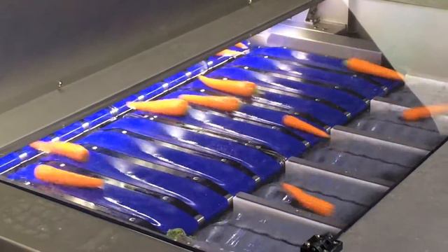 Newtec Celox C-UHD 6+1 Optical Size and Quality Grader смотреть онлайн