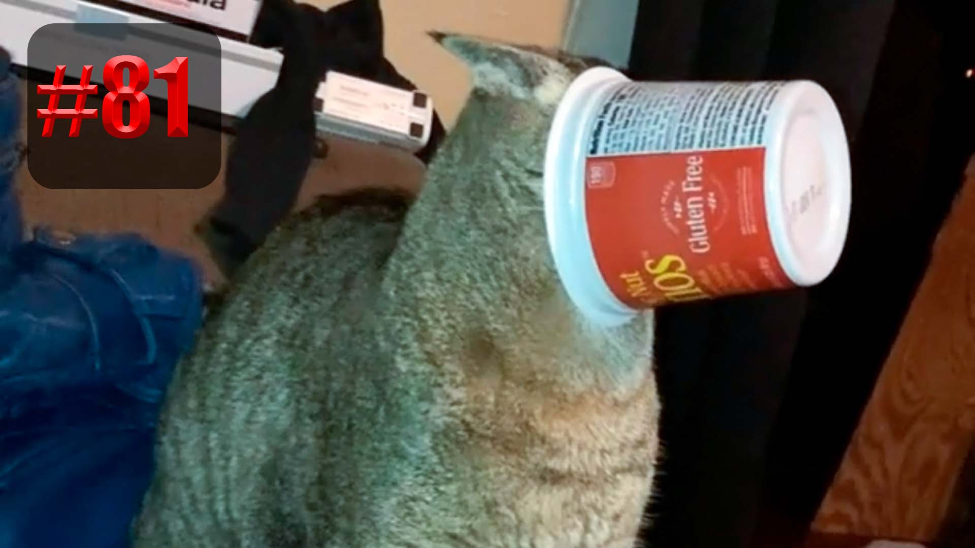 602 секунд Смеха ?? | UNUSUAL MEMES приколы лучшие до слез ?? 2022 Funny cute cats compilation смотреть онлайн