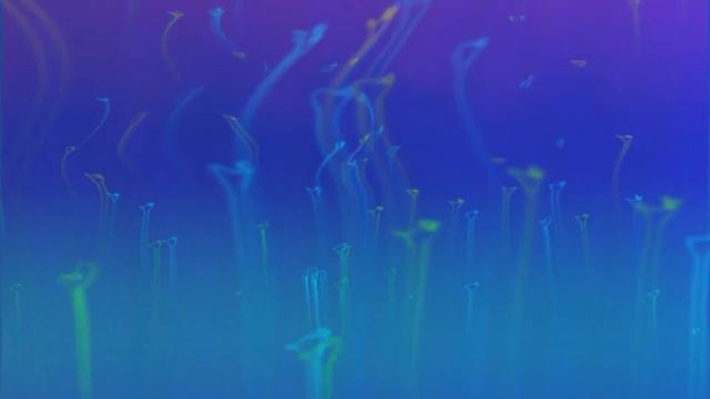 Песнь 9 Освобождение 1 01 Царь Судьюмна превращается в женщину