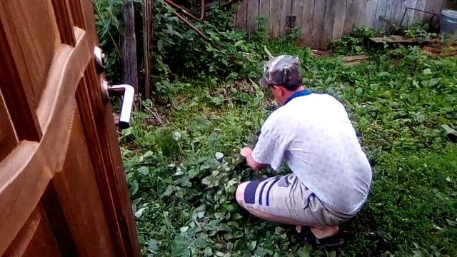 Как вязать банные веники из берёзы