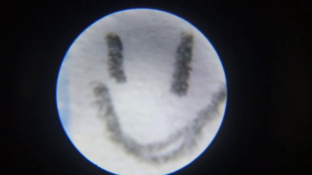 БИО.V. Карандаш под микроскопом по бумаге.