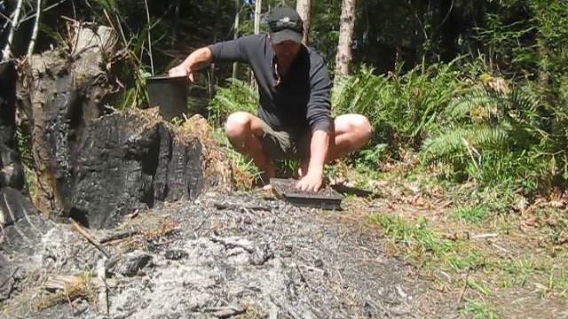 How to Sow Trachycarpus Palm Seeds / Salt Spring Island, Canada смотреть онлайн
