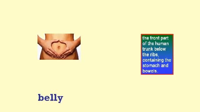 Parts of Body with elaborate meaning for each part of body смотреть онлайн