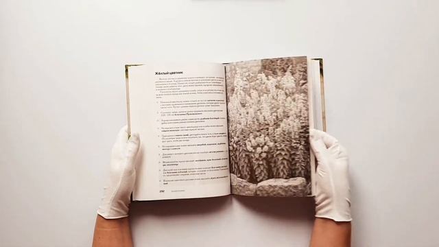 Новая дачная энциклопедия садовода и огородника смотреть онлайн