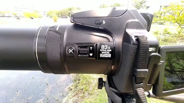 Nikon coolpicx camera in 2021|| Camera under 30000 || || Nikon p900 zoom test || point shoot camera смотреть онлайн