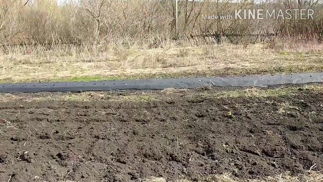 Между делом!!! смотреть онлайн