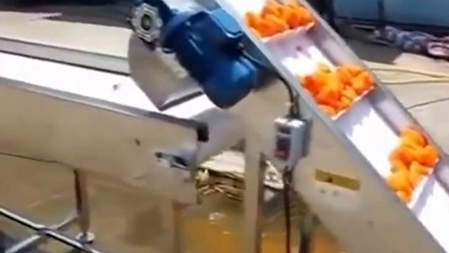 Линия по очистке овощей Titan смотреть онлайн