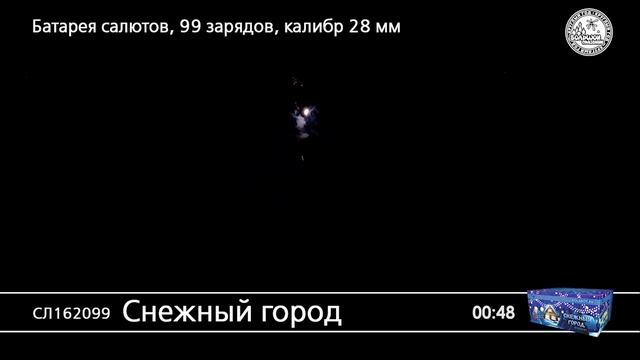 СЛ162099 Снежный город смотреть онлайн
