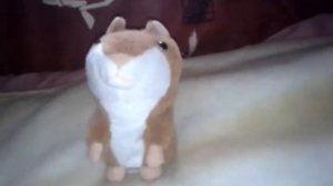 Говорящий хомяк putty-world.ru поёт Сплин))))))