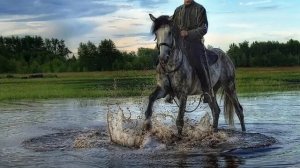 По Дону гуляет