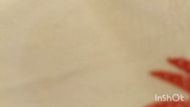 Рыбный рынок Стамбула ONBERDI BALIKĢILIK .            Fish Market