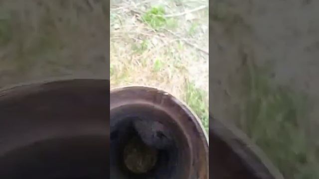 Взорвался теплообменник в бане смотреть онлайн
