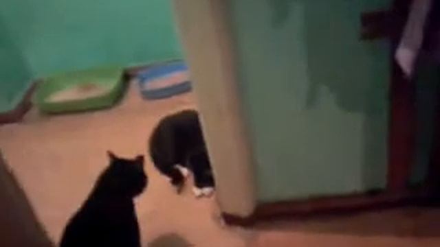 Чужой-вторжение в квартиру смотреть онлайн