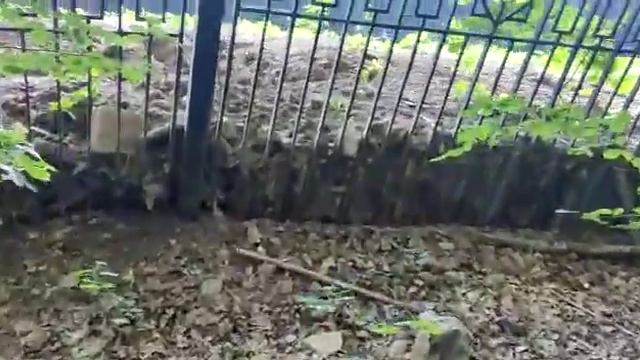 строительный мусор на границе с ЛЗ "Теплый Стан " смотреть онлайн
