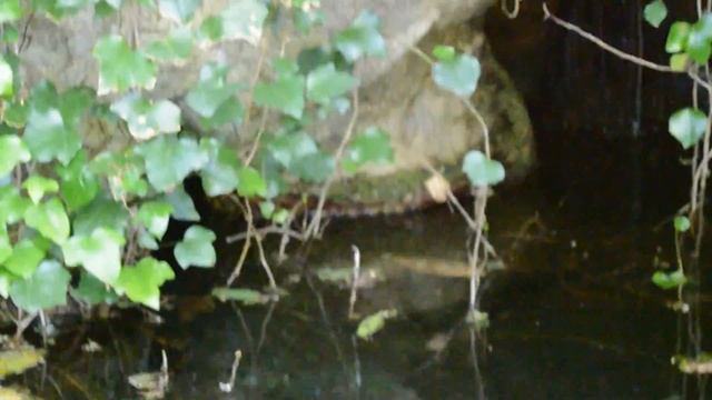 Quinta da Regaleira - Кинта да Регалейра в Синтре. смотреть онлайн