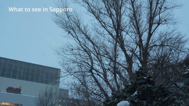 Sapporo Travel |  What To Do & Eat In Sapporo, Winter Travel Tips❄️ Hokkaido Japan