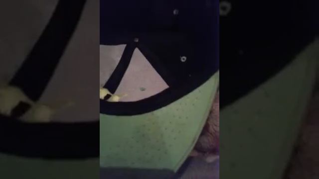 На тему реперка смотреть онлайн