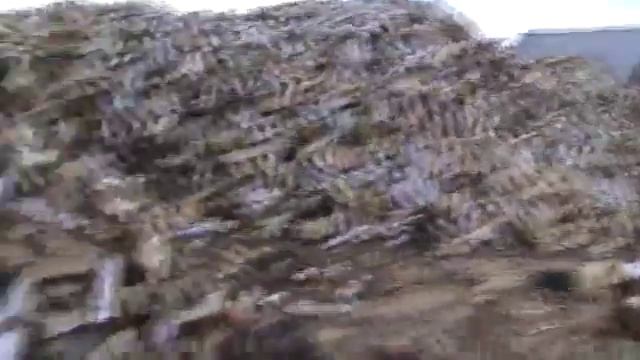 Колотун бабай смотреть онлайн